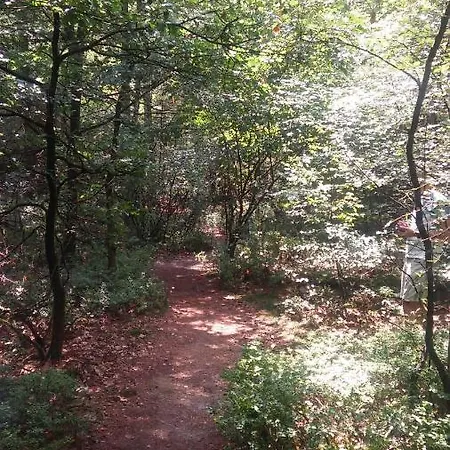Poort De Veluwe Chalet