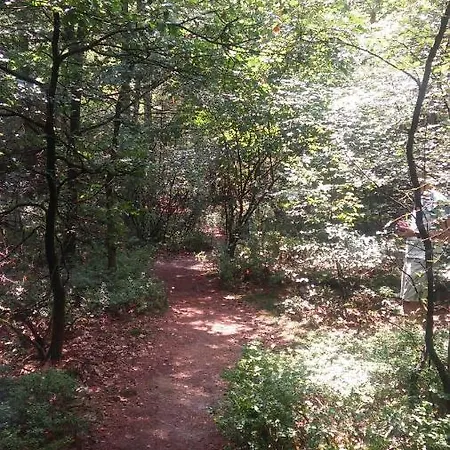 Poort De Veluwe Horská chata