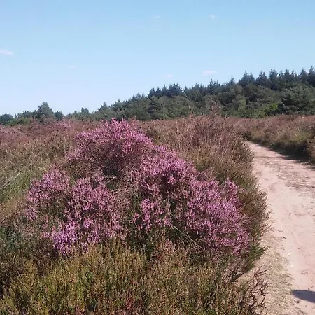 Poort De Veluwe Вортхёйзен