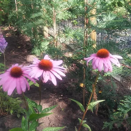 Poort De Veluwe * Voorthuizen