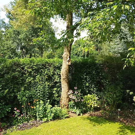 Шале Poort De Veluwe Вортхёйзен