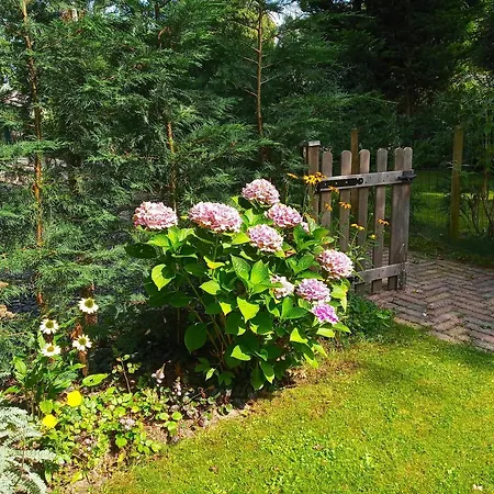 Poort De Veluwe Chalet *