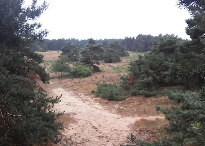 Poort De Veluwe * Voorthuizen
