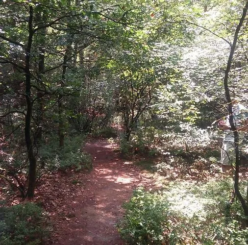 Poort De Veluwe Chalet