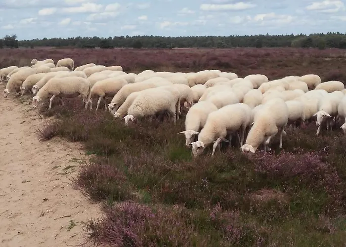 Poort De Veluwe Voorthuizen