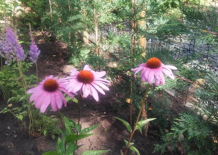 Poort De Veluwe * Voorthuizen