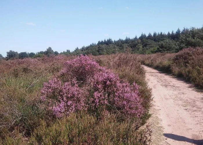 Poort De Veluwe Voorthuizen