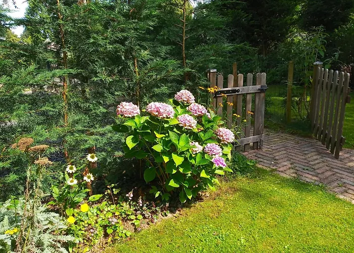 Poort De Veluwe Chalet *