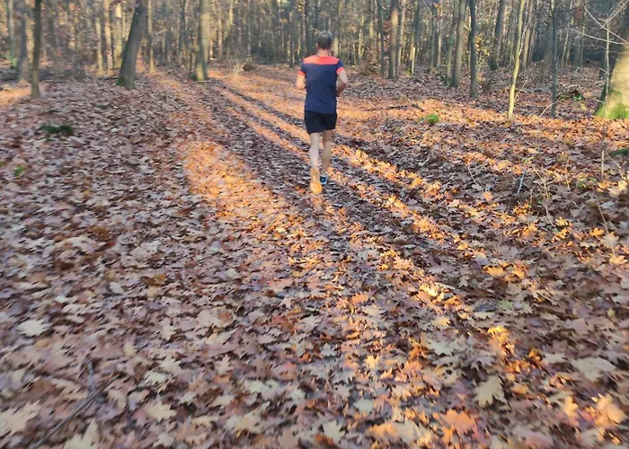 Poort De Veluwe Chalet